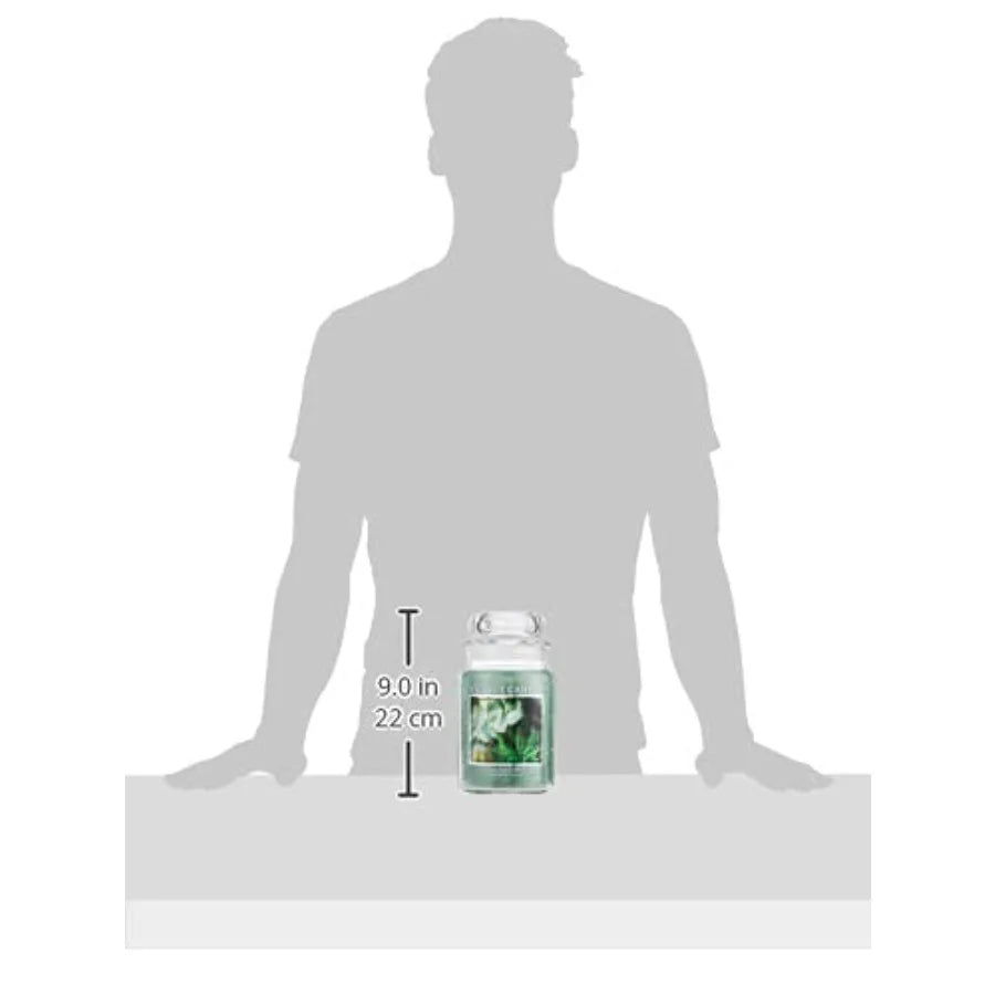 Eucalyptus Mint Large Glass Apothecary Jar Scented Candle, 21.25 oz, Green
