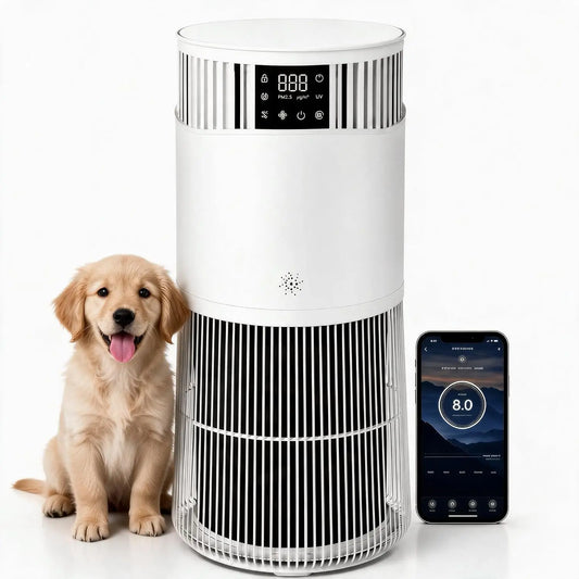 Acekool H13 HEPA Air Purifier With Aromatherapy Quiet Sleep Mode