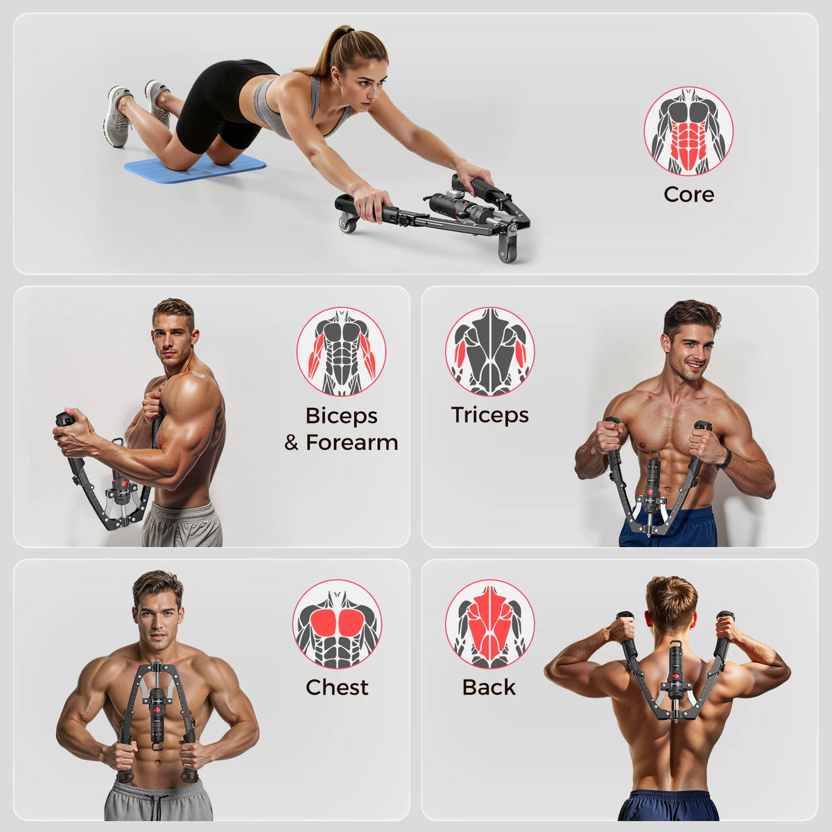 Hydraulic 2 In 1 Arm Trainer With Detachable Ab Wheel